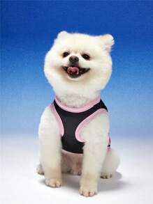 PETSIN 宠物猫/狗“拥抱我”时尚字母印花背心，男女通用