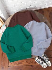 3pcs/Set Boys Crewneck Sweatshirt Set, Autumn/Winter, Solid Color Embroidered Dinosaur, Casual Loose Fit, Comfortable Sporty, Fashionable & Elegant Design, Special Fabric With Unique Pattern, Vivid Color - Multicolor - View 2