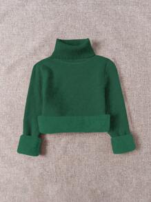 Franclia Women Solid High Neck Long Sleeve Minimalist Sweater, Casual For Daily Wear Knit Pullover Fall Winter - Dark Green - View 3