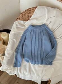 Blossori Jersey de manga raglán liso para niños, estilo minimalista casual para otoño/invierno