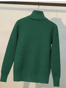 Franclia Women Solid High Neck Long Sleeve Minimalist Sweater, Casual For Daily Wear Knit Pullover Fall Winter - Dark Green - View 2
