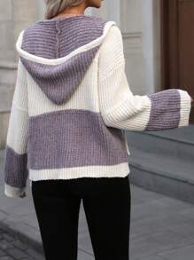 SHEIN LUNE Color Block Drawstring Casual Everyday Pullover Hoodie Knit Pullover Sweater Fall Winter - Multicolor - View 2