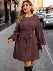 SHEIN Clasi Plus Size Women's Solid Color Textured Long Sleeve Dress, Autumn/Winter
