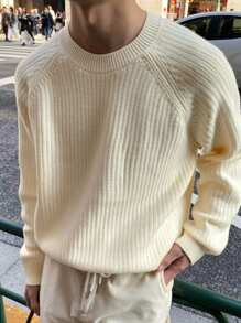 DAZY Men's Casual Solid Color Raglan Sleeve Ribbed Knit Sweater Fall,Winter