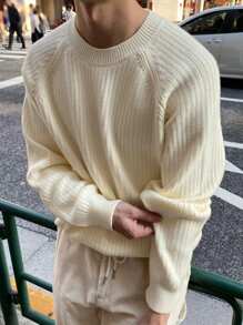 DAZY Men's Casual Solid Color Raglan Sleeve Ribbed Knit Sweater Fall,Winter