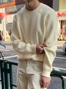 DAZY Men's Casual Solid Color Raglan Sleeve Ribbed Knit Sweater Fall,Winter