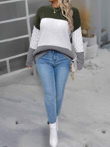 SHEIN LUNE Plus Size Women Colorblock Crew Neck Knit Sweater Top, Versatile Knit Pullover Fall Winter - Multicolor - View 5