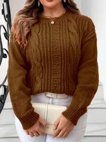 Calvaya Plus Size Solid Color Twist Knit Crew Neck Casual Pullover Sweater, For Winter Knit Pullover Fall - Brown - View 5