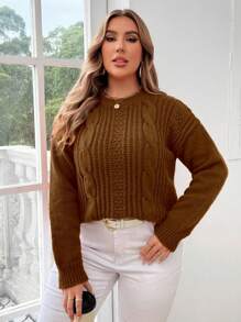 Calvaya Plus Size Solid Color Twist Knit Crew Neck Casual Pullover Sweater, For Winter Knit Pullover Fall - Brown - View 4