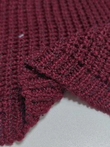 Calvaya Plus Size Women's Colorblock Turtleneck Long Sleeve Casual Sweater Dress, Fall/Winter - Burgundy - View 3