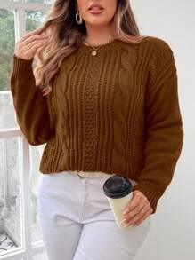Calvaya Plus Size Solid Color Twist Knit Crew Neck Casual Pullover Sweater, For Winter Knit Pullover Fall - Brown - View 6