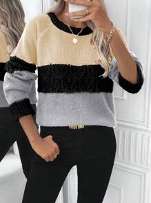 SHEIN LUNE Women Casual Crew Neck Raglan Sleeve Long Sleeve Contrast Color Sweater, Autumn/Winter Knit Pullover Fall - Multicolor - View 5