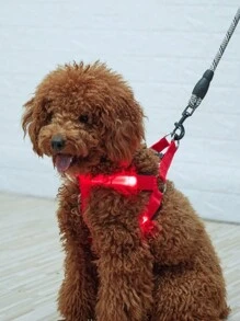 PETSIN Obsequio para amantes de los perros que brilla en la oscuridad y arnés de pecho y collar para pasear al perro de noche - Rojo - Ver 3