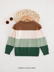 Cozy Pixies 年轻男孩休闲百搭圆领拼色长袖套头衫