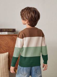 Cozy Pixies 年轻男孩休闲百搭圆领拼色长袖套头衫