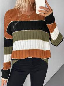 SHEIN LUNE 双色罗纹针织休闲圆领毛衣