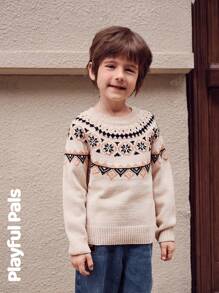 SHEIN 1 Pc Young Boy Sweater Fun Color Blocks Cute/Vintage/Casual/Home/Outdoor Winter/Fall - Multicolor - View 12