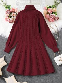 Teen Girl Turtleneck Long Sleeve Cinched Waist A-Line Knitted Midi Dress For Autumn/Winter