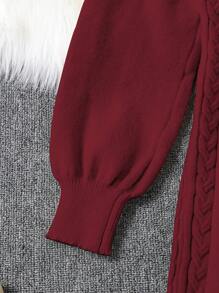 Teen Girl Turtleneck Long Sleeve Cinched Waist A-Line Knitted Midi Dress For Autumn/Winter