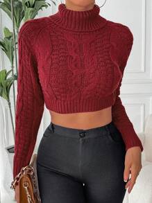 SHEIN Unity Women's Solid Color High Neck Long Sleeve Simple Sweater, Casual For Daily Wear Knit Pullover Fall Winter - Burgundy - View 1