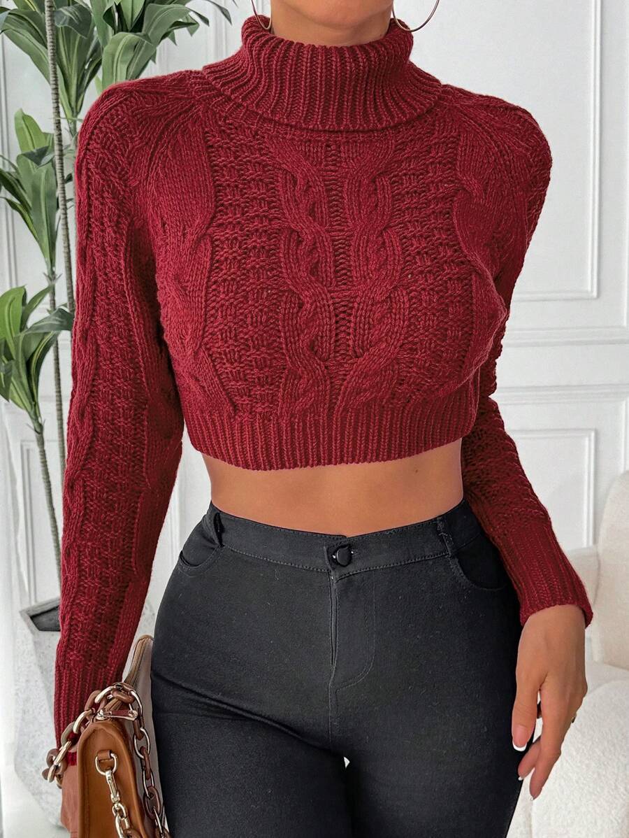 SHEIN Unity Women's Solid Color High Neck Long Sleeve Simple Sweater, Casual For Daily Wear Knit Pullover Fall Winter - Burgundy - View 1