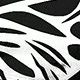 Blanco y Negro