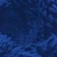 藍色
