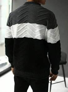 Manfinity Homme Heren Casual Colorblock Patchwork Breitrui, Herfst/Winter
