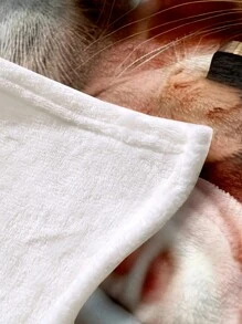 1 Pieza Manta de franela, con patrón de gato lindo, adecuada para sala de estar, dormitorio, escenas al aire libre