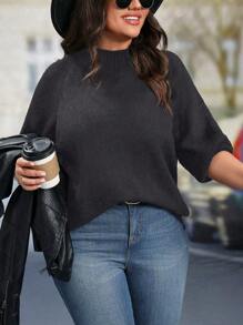 SHEIN LUNE Plus Size Women Stand Collar Solid Color Raglan Sleeve Long Sleeve Casual Pullover Sweater, Autumn/Winter