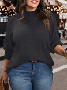 SHEIN LUNE Plus Size Women Stand Collar Solid Color Raglan Sleeve Long Sleeve Casual Pullover Sweater, Autumn/Winter
