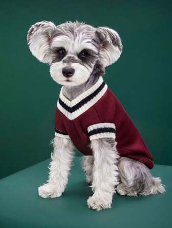 PETSIN Pull décontracté chaud et épais de style universitaire rouge vin, mignon. Convient pour les chats et les chiens, automne/hiver