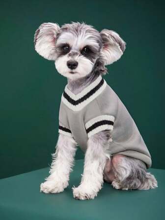 PETSIN 学院风灰色可爱保暖厚休闲宠物毛衣，适合狗和猫，秋冬季