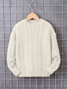 Tween Boy Solid Color Drop Shoulder Long Sleeve Twist Rope Casual Knit Sweater, Autumn/Winter - Beige - View 1