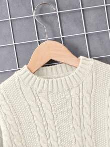 Tween Boy Solid Color Drop Shoulder Long Sleeve Twist Rope Casual Knit Sweater, Autumn/Winter - Beige - View 4
