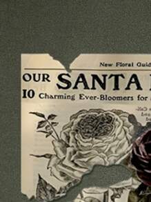 RueChic 100%Cotton Men's Basic Style Back Poster Pattern Print Sweatshirt - Army Green - View 5