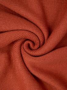 SHEIN LUNE Plus Size Women's Crew Neck Raglan Sleeve Contrast Color Cable Knit Casual Pullover Sweater Knit Pullover Fall Winter - Multicolor - View 4