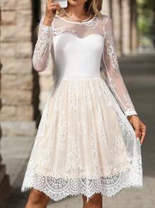 SHEIN Clasi Elegant Women's Lace Panel Round Neck Long Sleeve Mini Dress