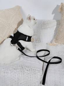 Harnais et laisse anti-fugue pour chat - Gilet maillé doux et réglable réfléchissant, harnais anti-fugue respirant pour chats, chatons, lapins (Noir)
