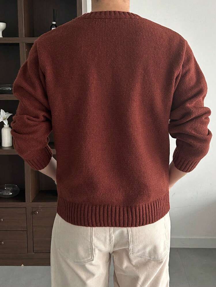 Men's Round Neck Long Sleeve Pattern Detail Casual Knit Sweater, Minimalist Style Fall,Winter