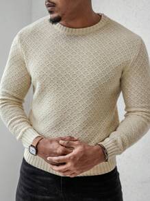 Manfinity Homme Men's Solid Color Crew Neck Long Sleeve Casual Sweater, Autumn/Winter