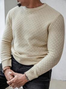 Manfinity Homme Men's Solid Color Crew Neck Long Sleeve Casual Sweater, Autumn/Winter