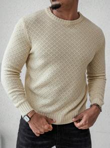 Manfinity Homme Men's Solid Color Crew Neck Long Sleeve Casual Sweater, Autumn/Winter