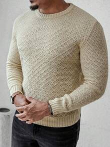 Manfinity Homme Men's Solid Color Crew Neck Long Sleeve Casual Sweater, Autumn/Winter