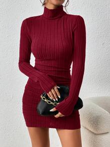 SHEIN Frenchy Women's Solid Color Turtleneck Long Sleeve Casual Short Dress,New Years Women Outfit,Ankara Red New Year Costumes Valentine's Day Costumes Winter Christmas Party