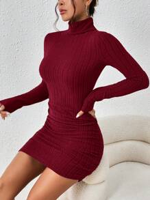 SHEIN Frenchy Women's Solid Color Turtleneck Long Sleeve Casual Short Dress,New Years Women Outfit,Ankara Red New Year Costumes Valentine's Day Costumes Winter Christmas Party