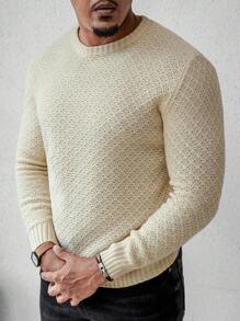 Manfinity Homme Men's Solid Color Crew Neck Long Sleeve Casual Sweater, Autumn/Winter