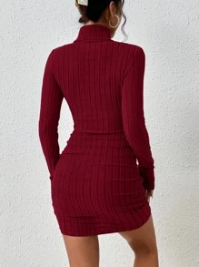 SHEIN Frenchy Women's Solid Color Turtleneck Long Sleeve Casual Short Dress,New Years Women Outfit,Ankara Red New Year Costumes Valentine's Day Costumes Winter Christmas Party