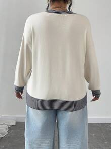 Flirla Fashionable Color Block Splice Knit Pullover Sweater For Women, Long Sleeve, Versatile For Autumn & Winter Knit Pullover Fall Outfit