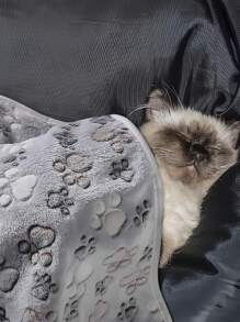 1pc Paw Print Square Design Pet Blanket, Thin & Comfortable, Suitable For Small/Medium/Large Pets All Year Round - Grey - View 4
